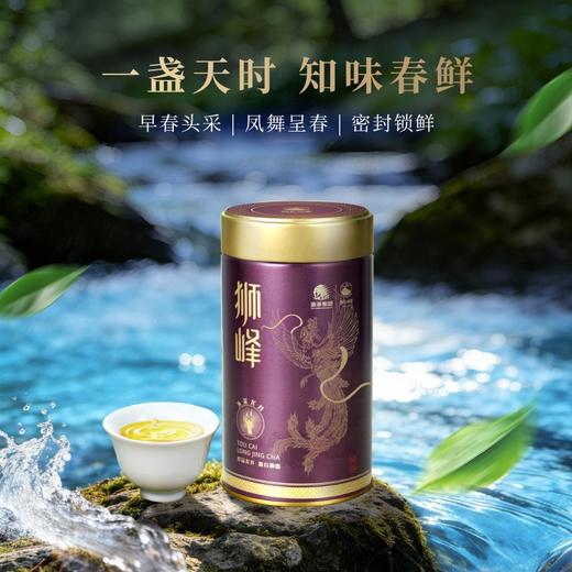 狮峰牌龙井茶头采明前特级罐装50g 商品图3