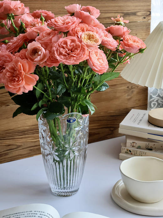 捷克原装进口BOHEMIA经典刻花水晶玻璃花瓶家居欧式台面摆件花瓶波西米亚宇宙之子B系列花瓶20cm 商品图5