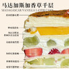 马达加斯加香草千层 商品缩略图2