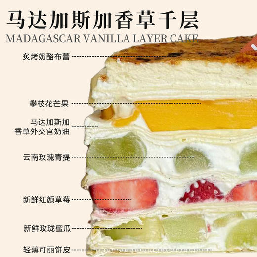 马达加斯加香草千层 商品图2