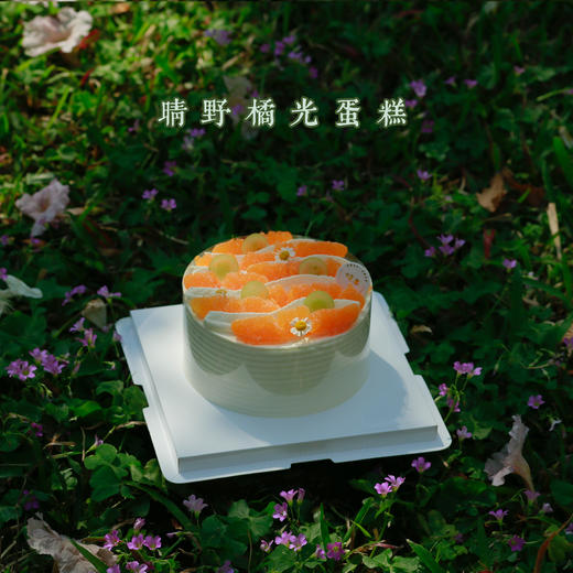 晴野橘光蛋糕 商品图1