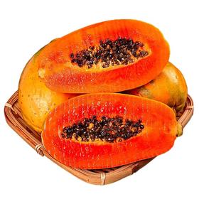 红心木瓜5斤装礼盒  臻选水果，产地：海南