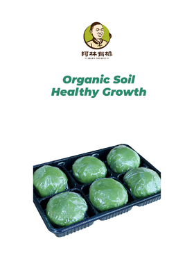 阿林农场 手作青团