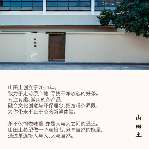山田土X茶的战斗 联名限定礼盒 云南景谷白茶 商品图4