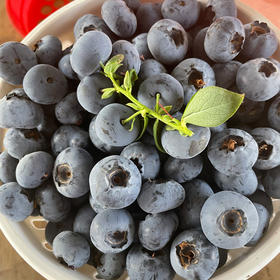 L25蓝莓22+（桶装）1.2kg