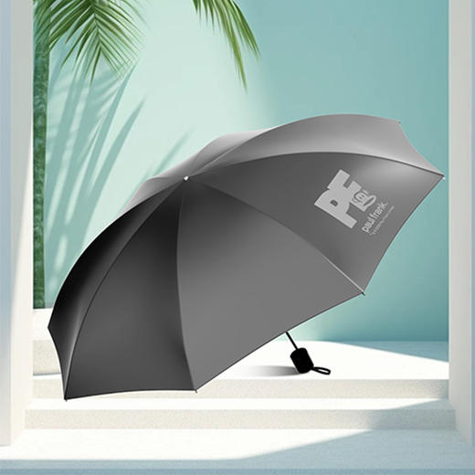 大嘴猴（Paul Frank）八骨三折雨伞PFU202 商品图2