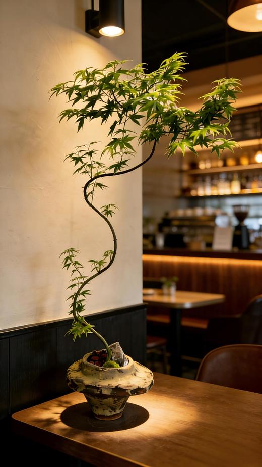 流泉枫 商品图0