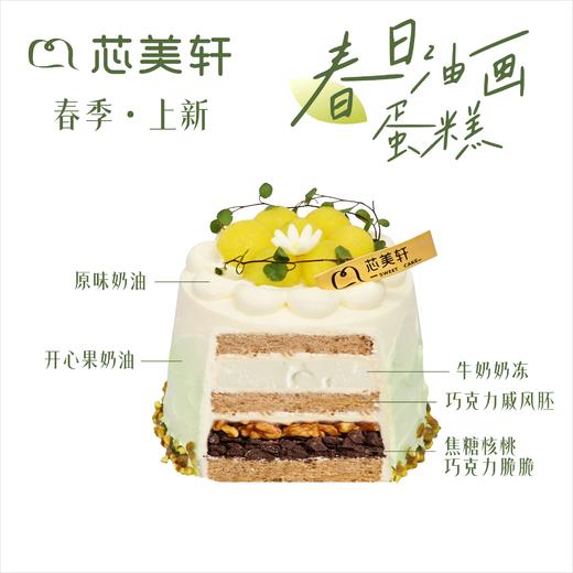 5寸夏日玫珑 商品图1