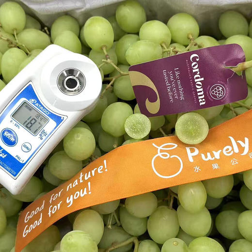 🇦🇺澳洲SweetGlobe「甜地球青提」1kg 商品图1