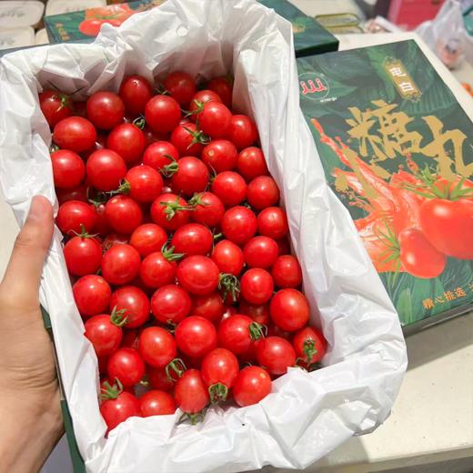 刘婆婆小甜甜千禧 小番茄 圣女果 好吃的甜番茄 商品图8
