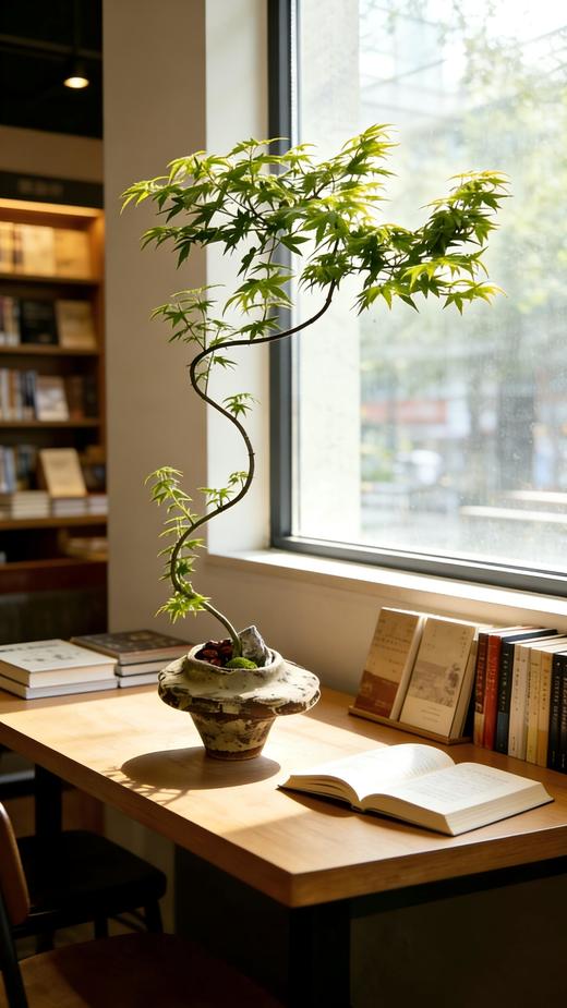 流泉枫 商品图1