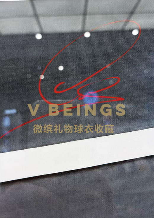 收藏系列 汉密尔顿 F1 年轻的狮心 限量版 亲笔签名画 商品图2