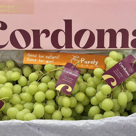 🇦🇺澳洲SweetGlobe「甜地球青提」1kg 商品图0