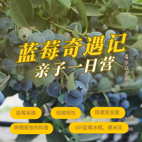 东莞蓝莓采摘一日营（GZYX）