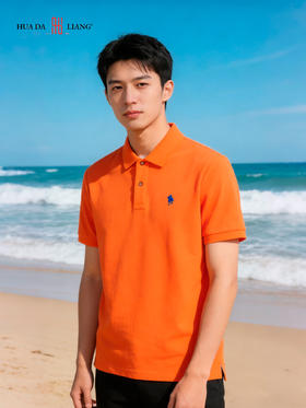 男装26春夏新品反领polo短袖2294-88018