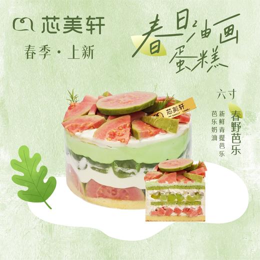 6寸春野芭乐 商品图0