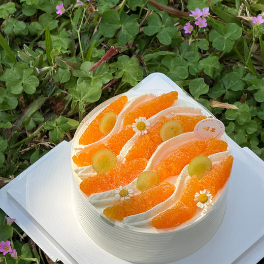 晴野橘光蛋糕 商品图0