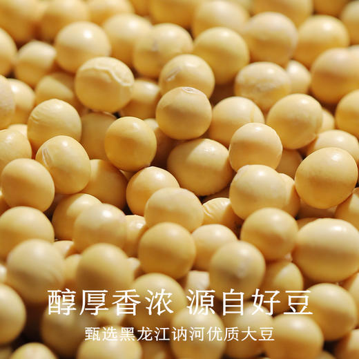 南食召 本真豆豉（老包装） 商品图3