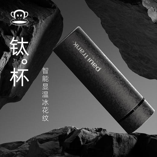 大嘴猴（Paul Frank）健康纯钛抑菌显温保温杯PF903（冰花纹） 商品图2
