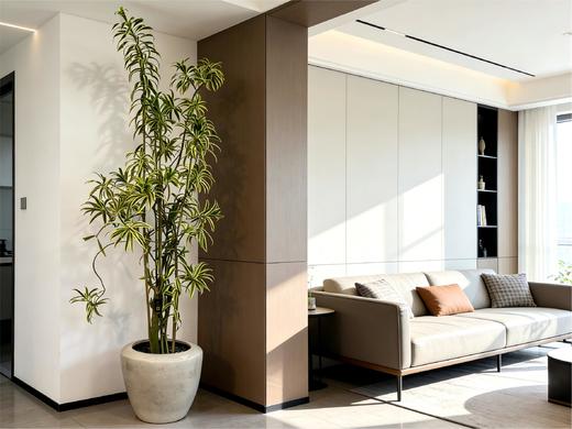 造型金边百合竹 商品图1