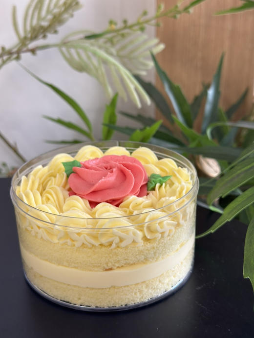 白脱老奶油蛋糕，老奶油咸甜口。约4寸，快递后，冷冻20分钟更好吃 商品图5