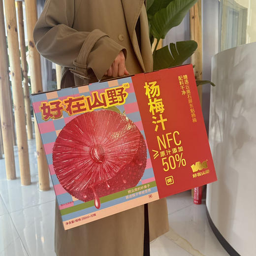 好在山野杨梅汁 商品图7