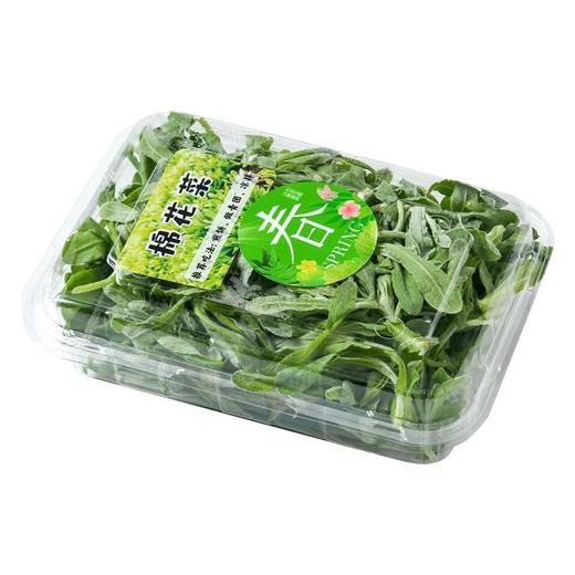 棉花菜60g 商品图0