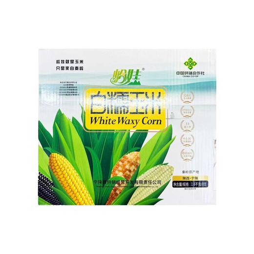 陕西岭娃白糯玉米（8支） 商品图0