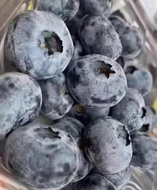 彩虹蓝莓（大果） 约125g/盒【BH】【OZR】 商品图2