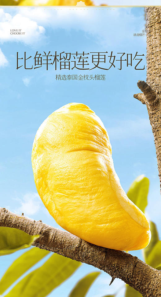 金枕榴莲果肉100g*5 商品图1