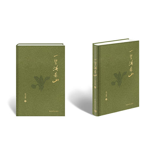 一望满春山 甲士吾著 中国青年出版社 商品图4