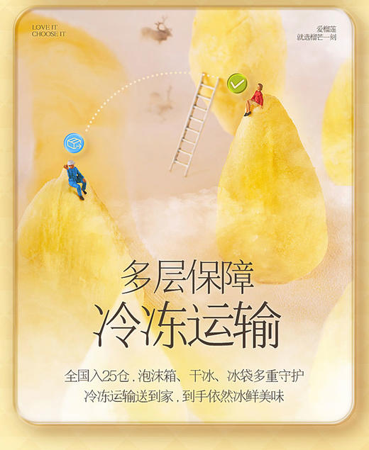 金枕榴莲果肉100g*5 商品图11