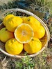 柠檬甜橙 商品缩略图0