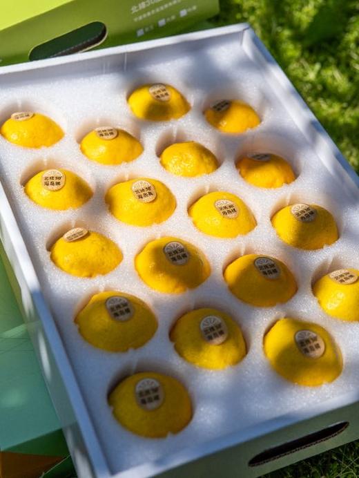 柠檬甜橙 商品图6