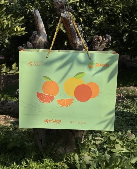 柠檬甜橙 商品图7