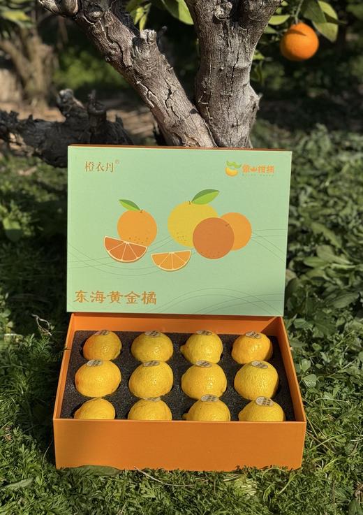 柠檬甜橙 商品图8