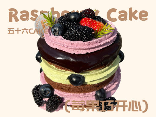 莓果巧开心（3寸） 商品图0