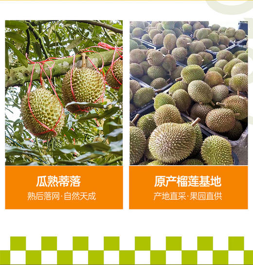 六英寸猫山王榴莲千层蛋糕 商品图4