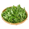 枸杞芽100g 商品缩略图3
