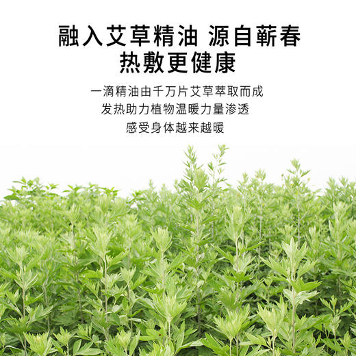 正安国货·艾草暖热贴  把暖阳带在身上，随时享受温灸 7片/盒 商品图3