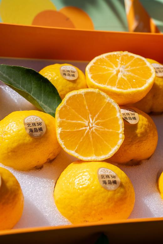 柠檬甜橙 商品图2