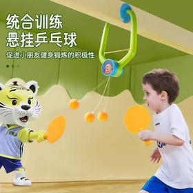 美国 悬挂式乒乓球训练玩具 亲子互动 儿童益智玩具 体育系列