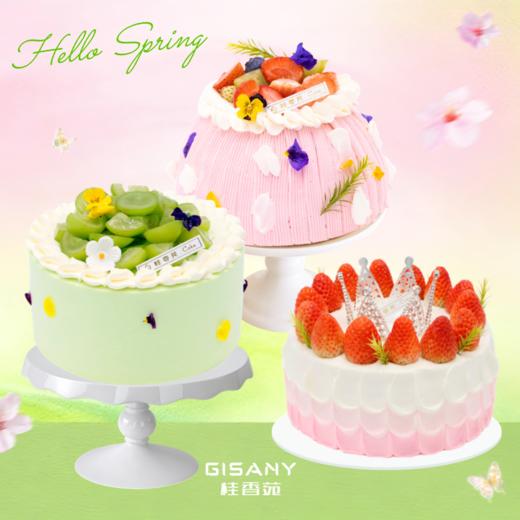 【踏春＆女神月专享】动物奶油6英寸蛋糕4选1 商品图0