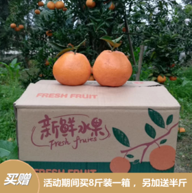 有机耙耙柑（春见） 8斤/箱 另加送半斤 产地现采现发  全国配送（偏远地区除外）