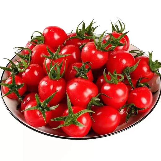 米易高原小番茄-3斤/5斤家庭装-露天种植千禧小番茄包邮到家【水果】ZY 商品图3