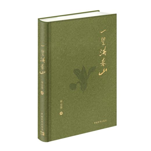 一望满春山 甲士吾著 中国青年出版社 商品图2