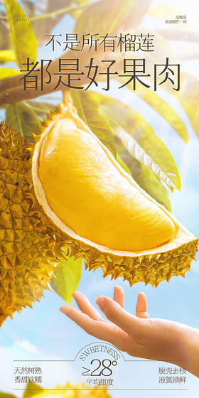 金枕榴莲果肉100g*5