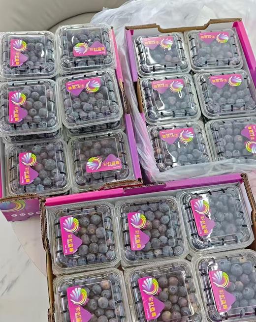 彩虹蓝莓（大果） 约125g/盒【BH】【OZR】 商品图0