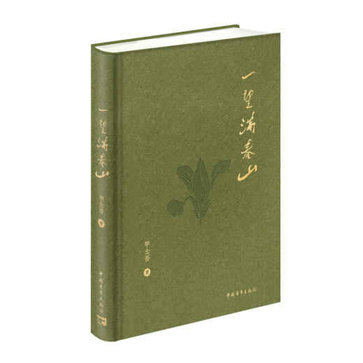 一望满春山 甲士吾著 中国青年出版社 商品图1