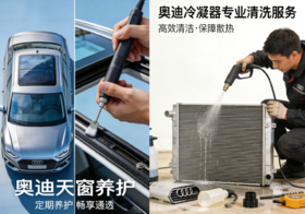 【奥迪品牌】魔咖美容（冷凝器清洗+天窗养护）